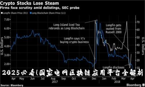 2025必看！国家电网区块链应用平台全解析