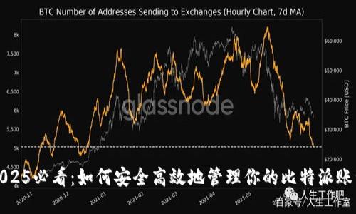 2025必看：如何安全高效地管理你的比特派账号