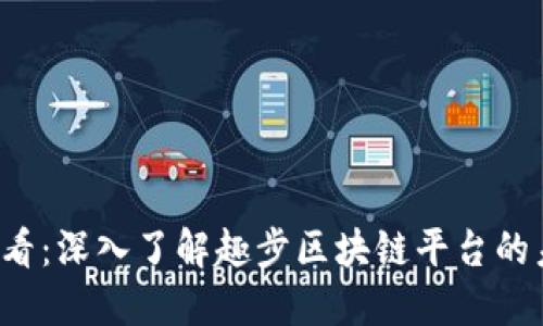 2025必看：深入了解趣步区块链平台的未来潜力