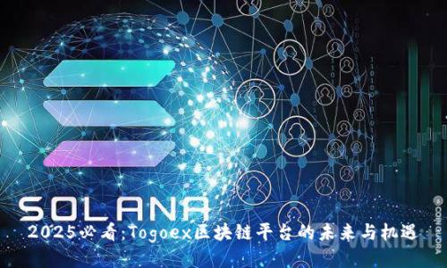 2025必看：Togoex区块链平台的未来与机遇