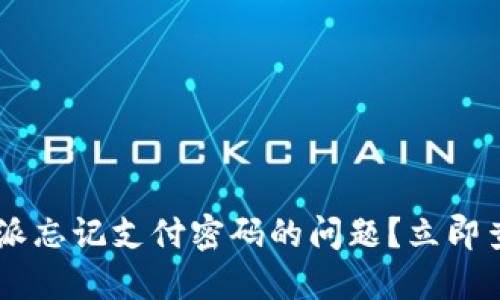 如何解决B特派忘记支付密码的问题？立即查看解决方案！