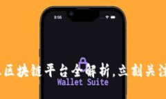 2025必看：华正区块链平台