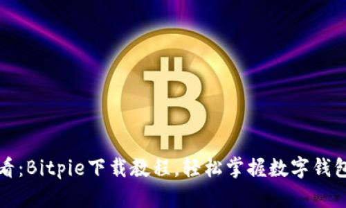 2025必看：Bitpie下载教程，轻松掌握数字钱包的使用！