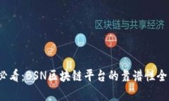 2025必看：BSN区块链平台的
