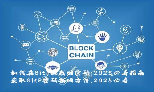 如何在BitP上找回密码：2025必看指南
获取BitP密码找回方法，2025必看