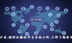 2025必看：安徽区块链平台