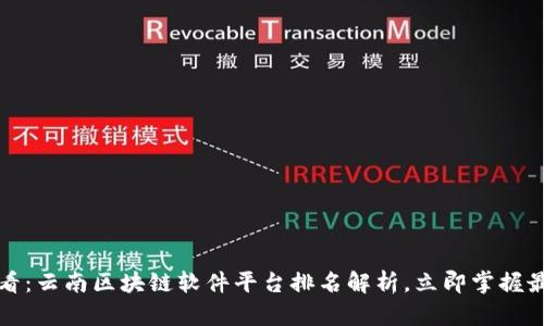 2025必看：云南区块链软件平台排名解析，立即掌握最新趋势！