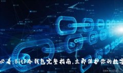 2025必看：BitP冷钱包完整指