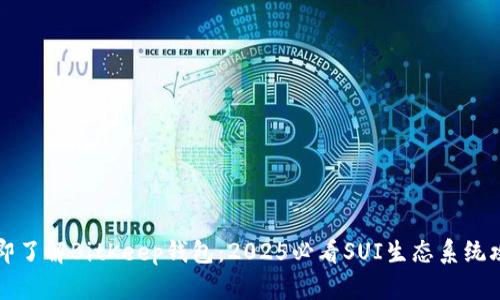 立即了解BitKeep钱包：2025必看SUI生态系统攻略