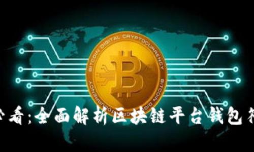 briaoti2025必看：全面解析区块链平台钱包符号的未来趋势