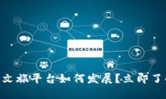 2025必看：区块链文旅平台