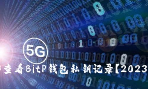 如何立即查看BitP钱包私钥记录？2023必看指南