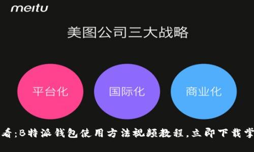 2025必看：B特派钱包使用方法视频教程，立即下载掌握技巧！