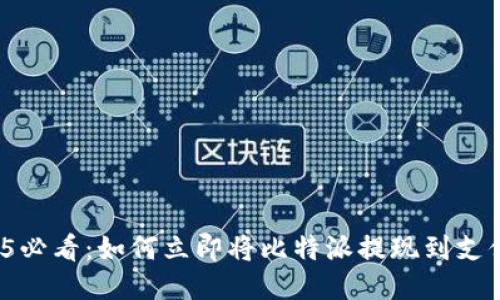 2025必看：如何立即将比特派提现到支付宝？