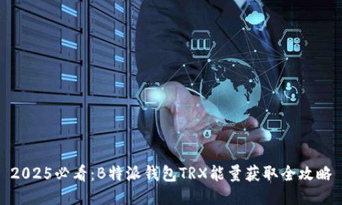 2025必看：B特派钱包TRX能量获取全攻略