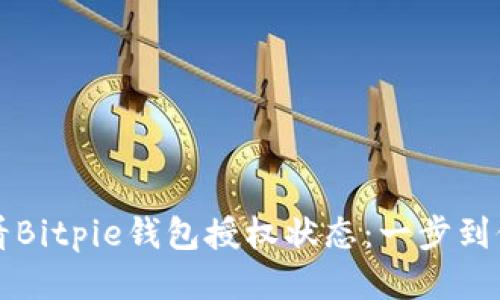 如何查看Bitpie钱包授权状态：一步到位的指导