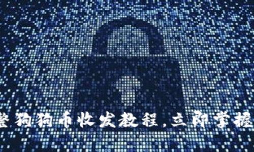 2025必看：完整狗狗币收发教程，立即掌握加密货币魅力！