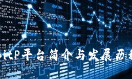 BitP平台简介与发展历程