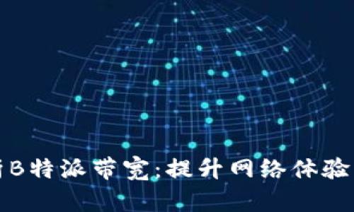 全方位解析B特派带宽：提升网络体验的秘密武器