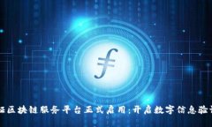 中国函证区块链服务平台