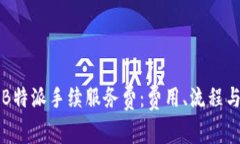 深入解析B特派手续服务费