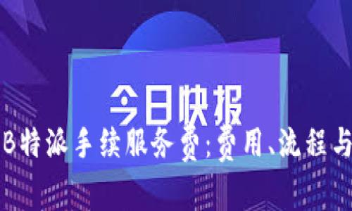 深入解析B特派手续服务费：费用、流程与注意事项