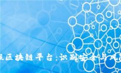 如何判断真假区块链平台