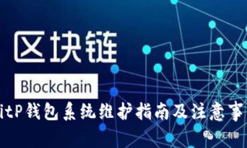 BitP钱包系统维护指南及注意事项