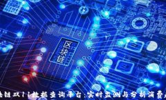 区块链双11数据查询平台：
