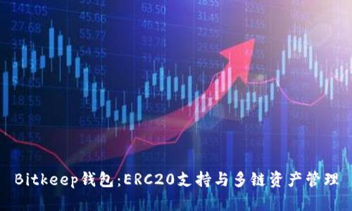 Bitkeep钱包：ERC20支持与多链资产管理