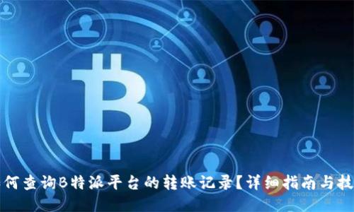 如何查询B特派平台的转账记录？详细指南与技巧