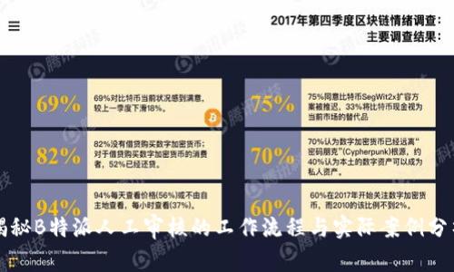 揭秘B特派人工审核的工作流程与实际案例分析