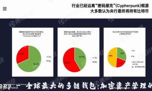 
BitKeep - 全球最大的多链钱包：加密资产管理的未来