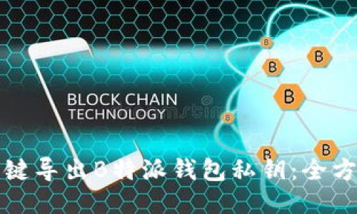 如何一键导出B特派钱包私钥：全方位指南
