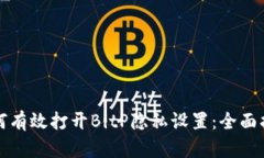 如何有效打开BitP隐私设置