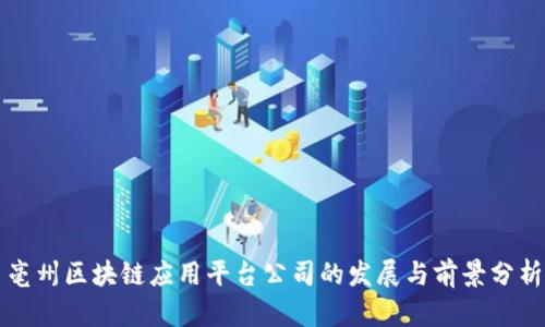 亳州区块链应用平台公司的发展与前景分析