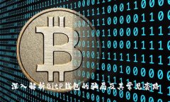 深入解析BitP钱包的骗局及
