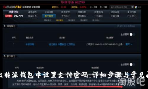 如何在比特派钱包中设置支付密码：详细步骤与常见问题解答