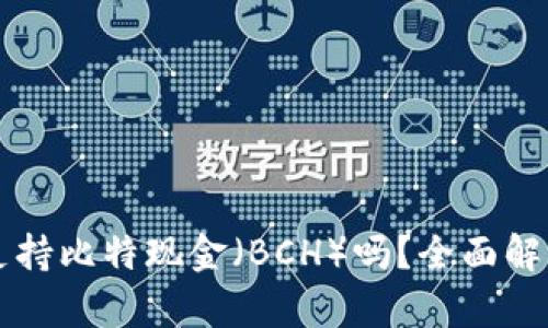 比特派钱包支持比特现金（BCH）吗？全面解析与用户指南