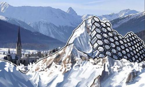 比特派钱包支持比特现金（BCH）吗？全面解析与用户指南