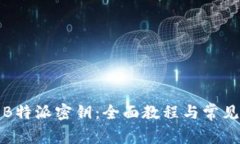 如何设置B特派密钥：全面