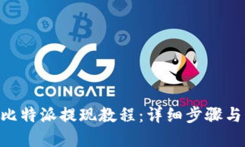 biao ti/比特派提现教程：详细步骤与实用技巧