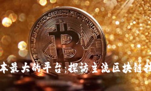 全球区块链账本最大的平台：探访主流区块链技术的巅峰之作