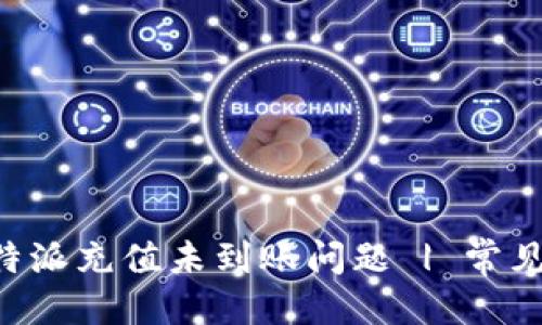 思考一个的 
code如何解决B特派充值未到账问题 | 常见疑问与解决方案