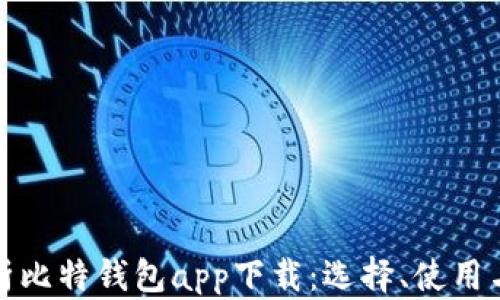 
全面解析比特钱包app下载：选择、使用与安全性
