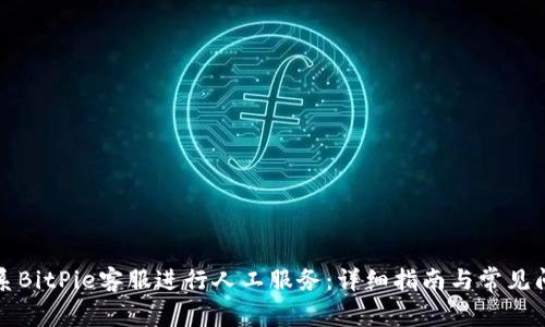 如何联系BitPie客服进行人工服务：详细指南与常见问题解答