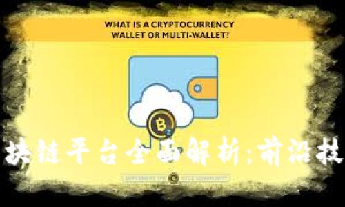 小米内测版区块链平台全面解析：前沿技术与应用前景