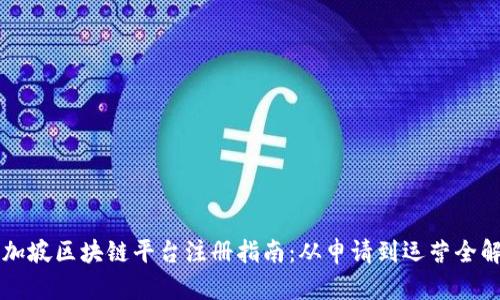 新加坡区块链平台注册指南：从申请到运营全解析