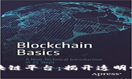 可以公开查询的区块链平台：揭开透明性与去中心化的秘密