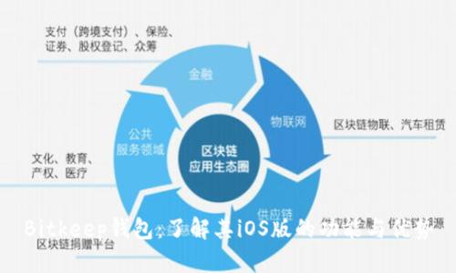 Bitkeep钱包：了解其iOS版的功能与优势
